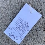 (SOLD) Danocaster Double Cut in Firemist Silver