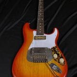 Waterslide S-Style Coodercaster Electric Guitar