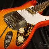Waterslide S-Style Coodercaster Electric Guitar