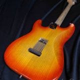 Waterslide S-Style Coodercaster Electric Guitar