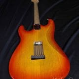 Waterslide S-Style Coodercaster Electric Guitar