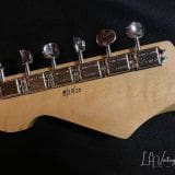 Waterslide S-Style Coodercaster Electric Guitar