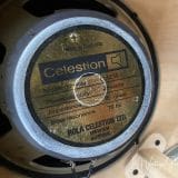 Kerry Wright 2 x 12 Offset Guitar Cabinet – with Rola Black Back Speakers!