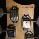 PRS Silver Sky John Mayer Signature Electric Guitar –  Golden Mesa Finish!