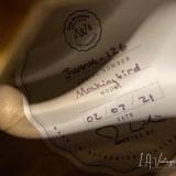 Josh Williams Mockingbird Electric Guitar – ’59 Burst Dot Neck !