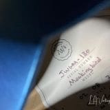 Josh Williams Mockingbird Electric in Pelham Blue – JWGM 130