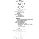 Josh Williams Mockingbird Electric in Pelham Blue – JWGM 130