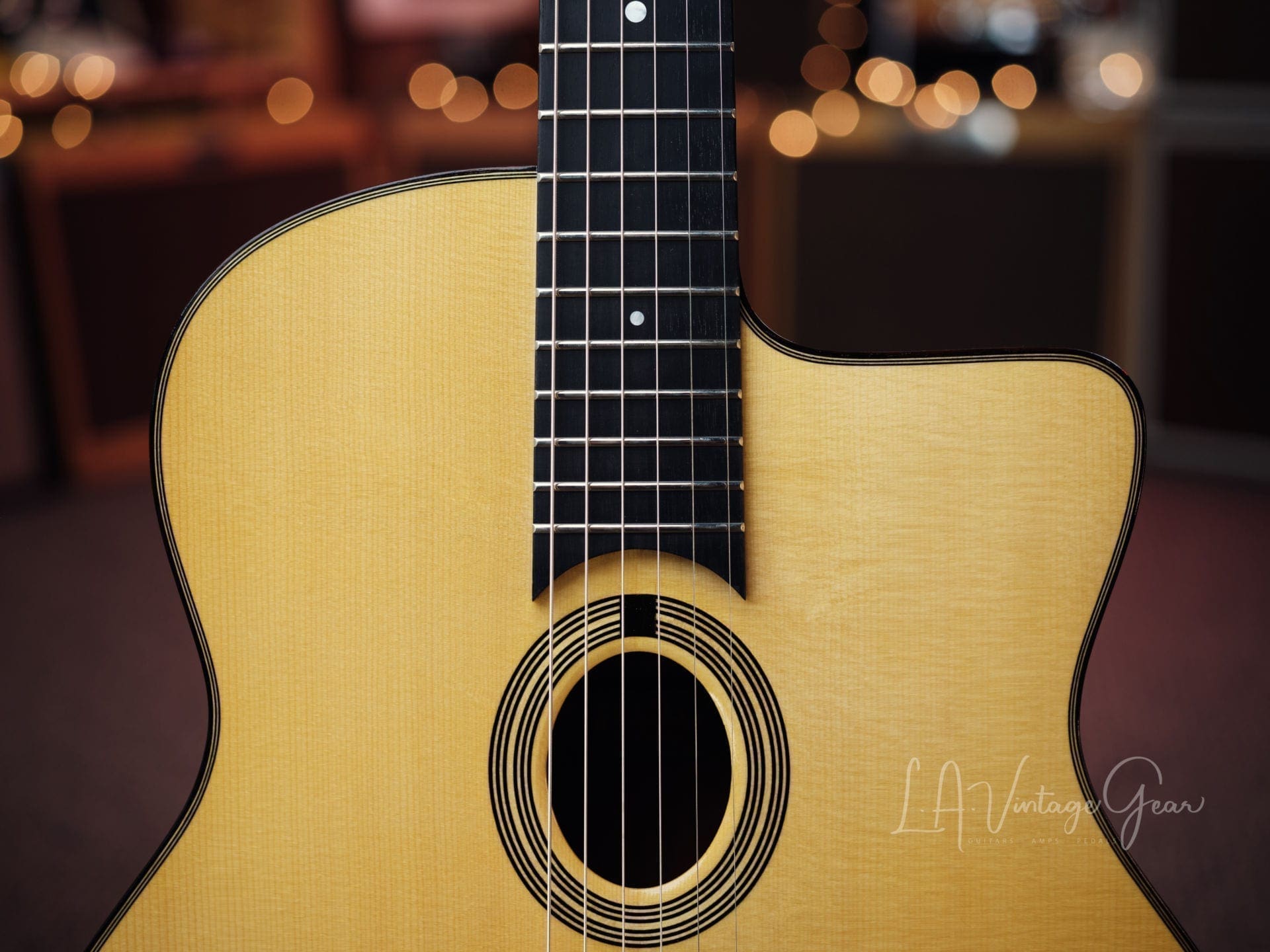 Stringphonic 2018 “Advanced” Limited Edition - Django Style Guitar - Lyle Workman Collection - Image 3