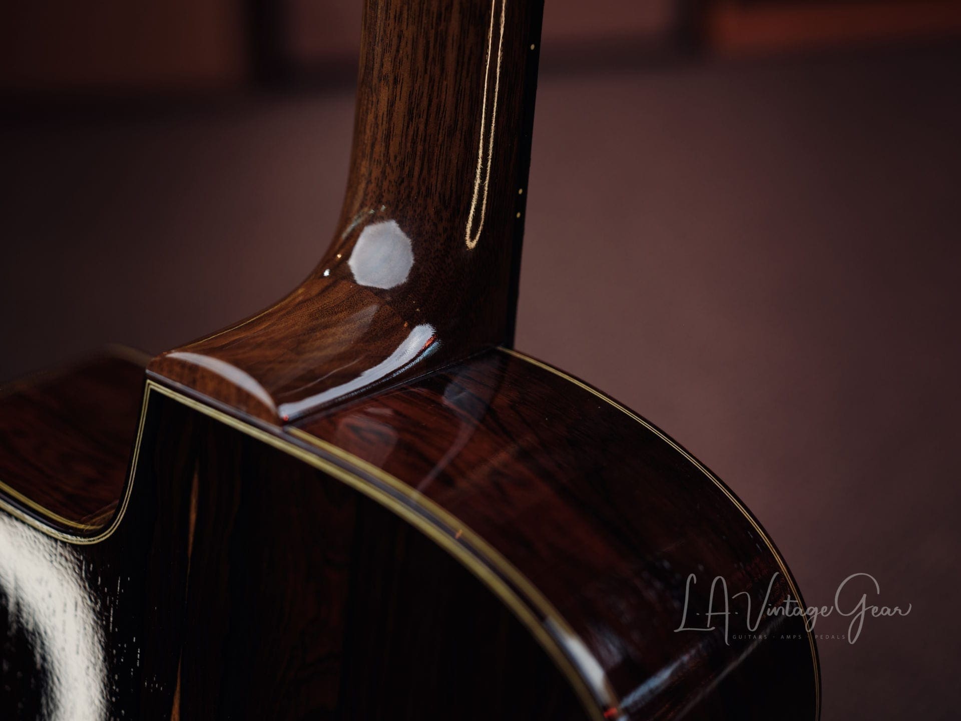 Stringphonic 2018 “Advanced” Limited Edition - Django Style Guitar - Lyle Workman Collection - Image 13