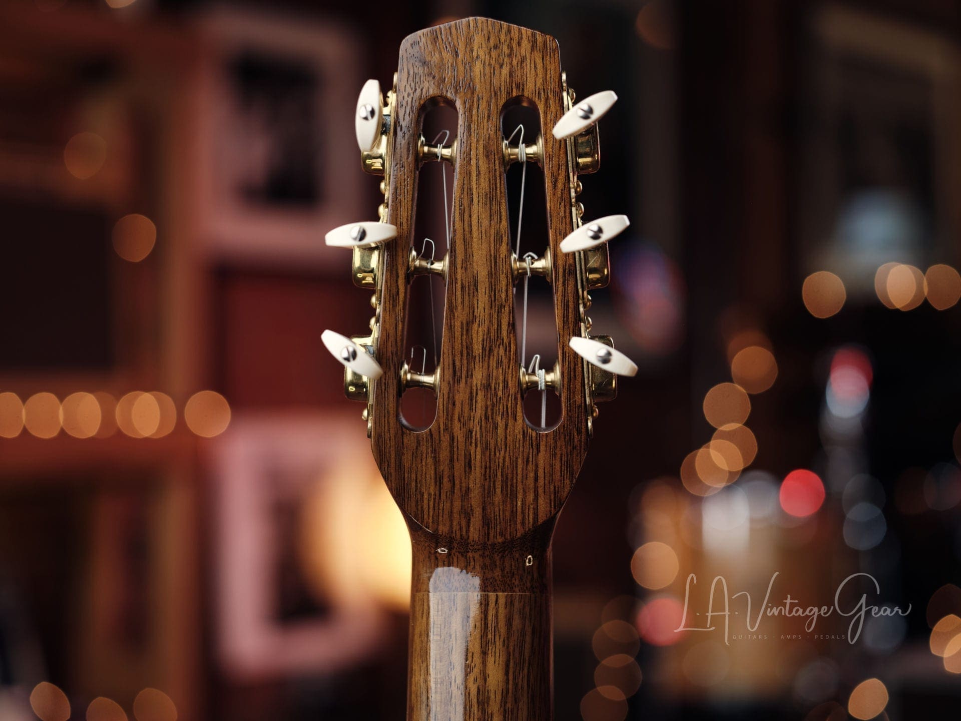 Stringphonic 2018 “Advanced” Limited Edition - Django Style Guitar - Lyle Workman Collection - Image 14