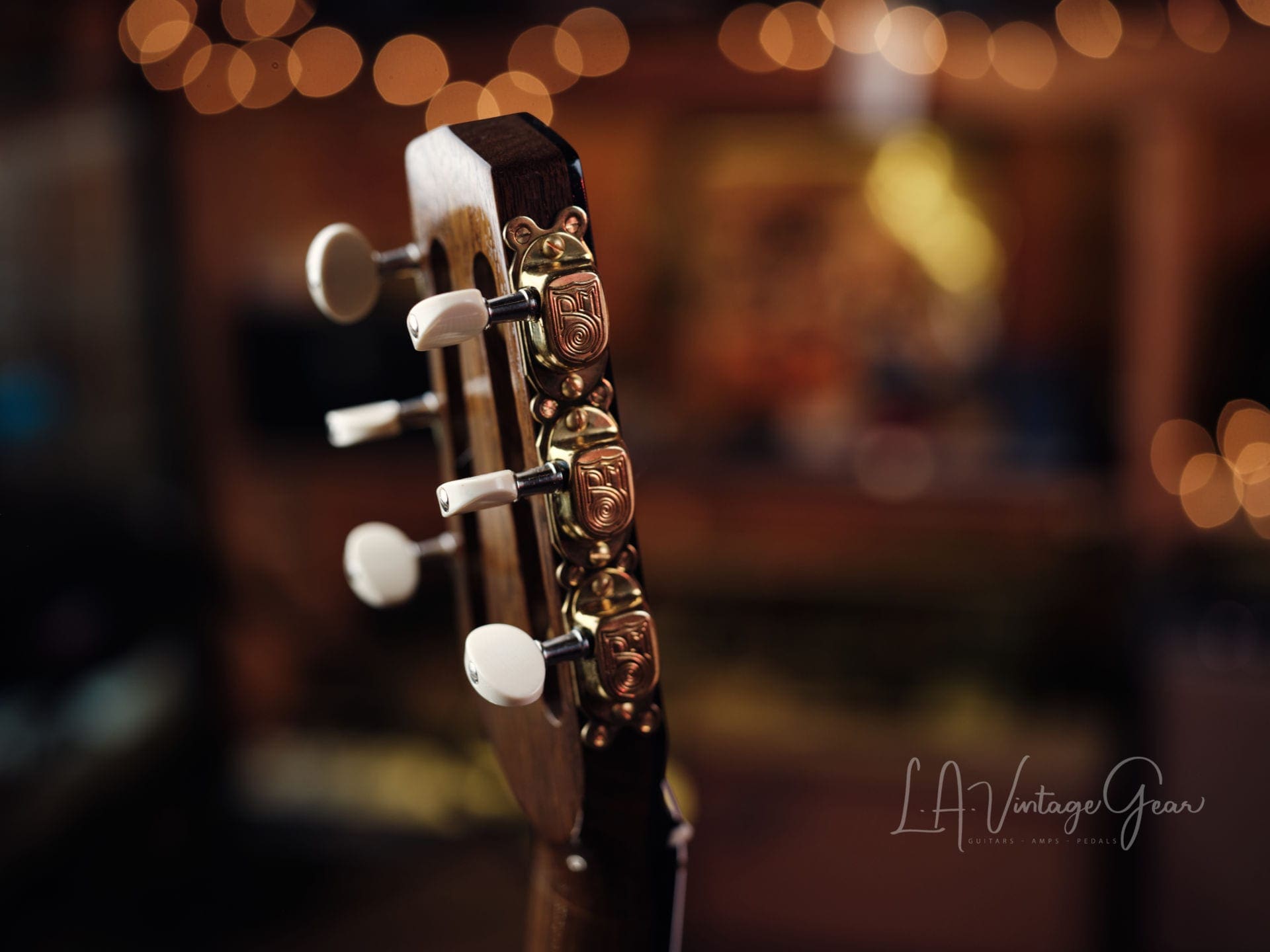 Stringphonic 2018 “Advanced” Limited Edition - Django Style Guitar - Lyle Workman Collection - Image 16