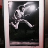 EVH Peavey Wolfgang Guitar – Signed by Eddie Van Halen – Neil Zlozower Photo- Kerry Wright Prototype Panel