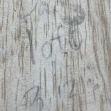 Danocaster Single Cut Double Bound T-Style Electric Guitar in Faded Candy Apple Red – With Foilbucker Neck Pickup!