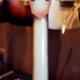 Jerry Jones Neptune Bass 6 String Electric Guitar – Copper Finish