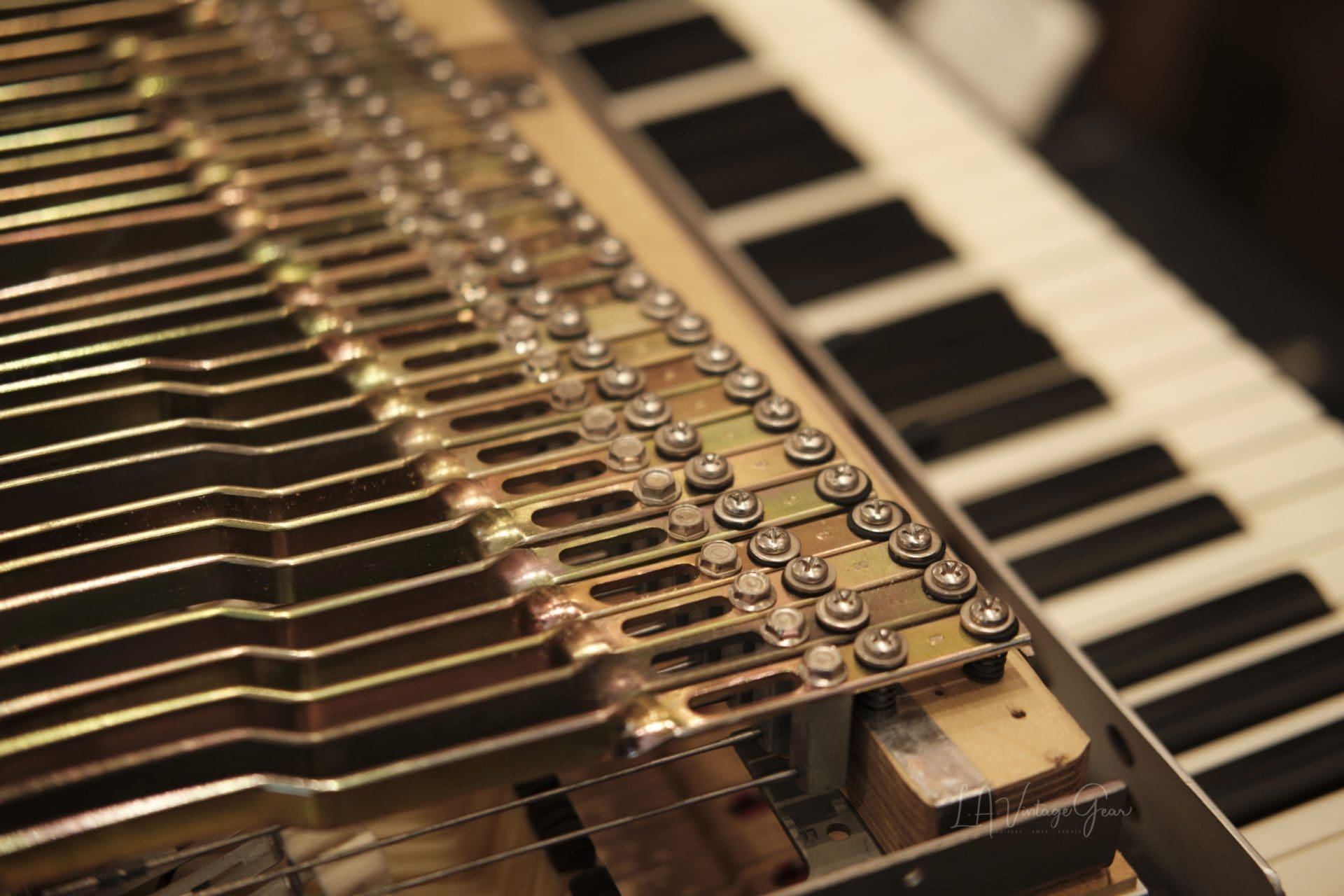 Fender Rhodes Seventy Three Stage Piano Mark I 1979 - Classic Sound & Feel! - Image 7