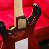 James Tyler “Studio Elite” Electric Guitar 2022 – Transparent ‘Jimburst’ Finish & Birdseye Maple Neck!