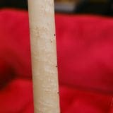 James Tyler “Studio Elite” Electric Guitar 2022 – Transparent ‘Jimburst’ Finish & Birdseye Maple Neck!