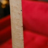 James Tyler “Studio Elite” Electric Guitar 2022 – Transparent ‘Jimburst’ Finish & Birdseye Maple Neck!