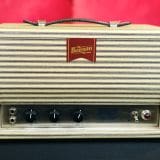 Benson Tall Bird Tube Driven Spring Reverb Head – Early Run #85 in a Premium Finish! Very Sought After!