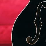 Gretsch G6136TG Players Edition Falcon Hollow Body Electric Guitar-Ebony Fingerboard, Midnight Sapphire