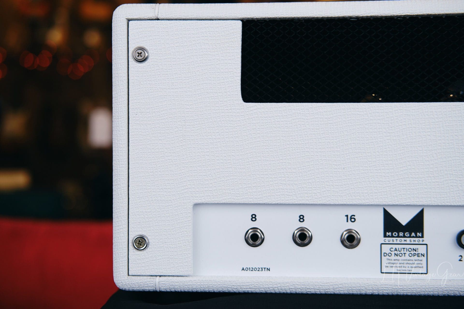 Morgan ML22 22 Watt Guitar Amp Head in White Tolex - Brand New! - Image 8
