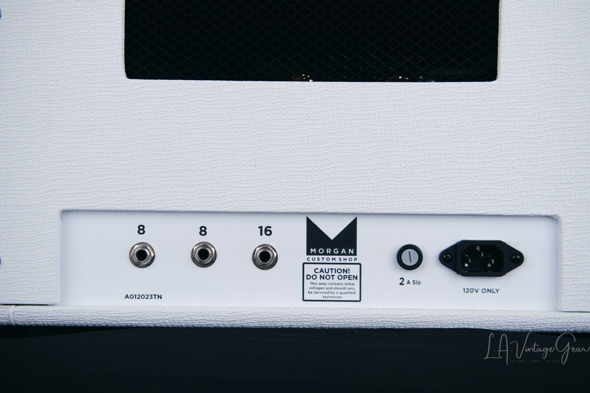 Morgan ML22 22 Watt Guitar Amp Head in White Tolex - Brand New! - Image 10