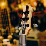 Tobias 6 String Classic Bass 1996-Walnut-Wenge-Alder Body, Pau Ferro Fretboard & Bartolini Pickups!