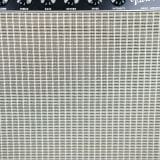Magic Vibro Prince 1 x 12 Combo Guitar Amplifier – Rare, Sought After, and In Excellent Condition!