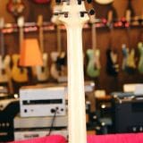 Paul Reed Smith CE-24 Electric Guitar (2019) – In A Now  Rare Trampas Green Finish!