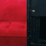 Fender 1965 Pro Reverb 2×12 Combo Guitar Amplifier – Owned by Renowned Jazz Guitarist Bruce Forman!