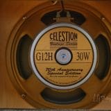 Benson – Earhart 15 Watt Head and 1×12″ Cab – Killer Low Watt Amp !