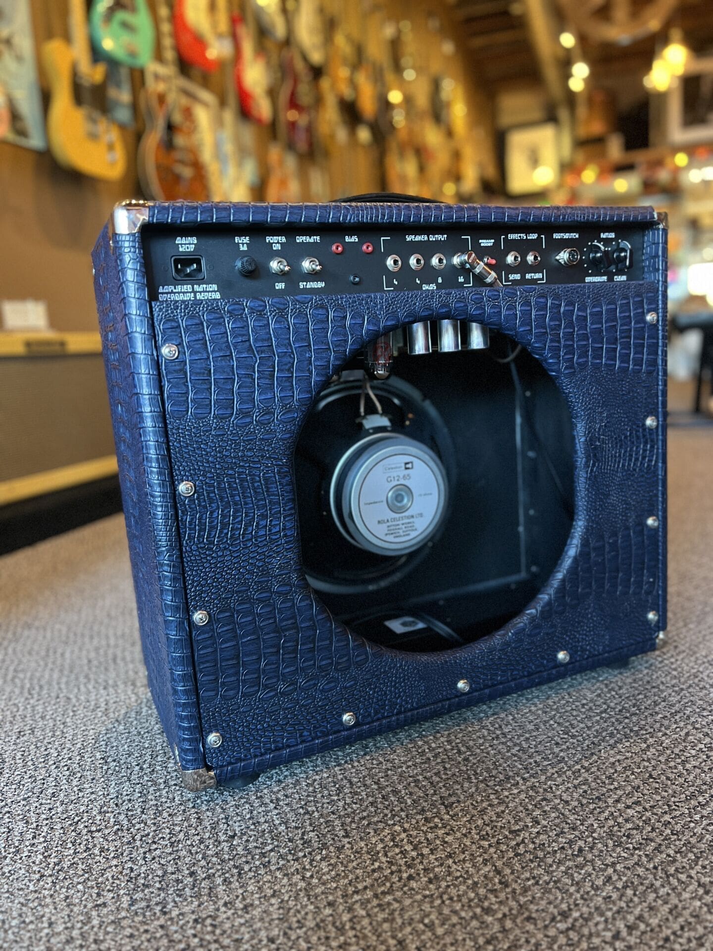 Amplified Nation Overdrive Reverb 50 Watt Combo - Blue Crocodile Tolex - Image 11