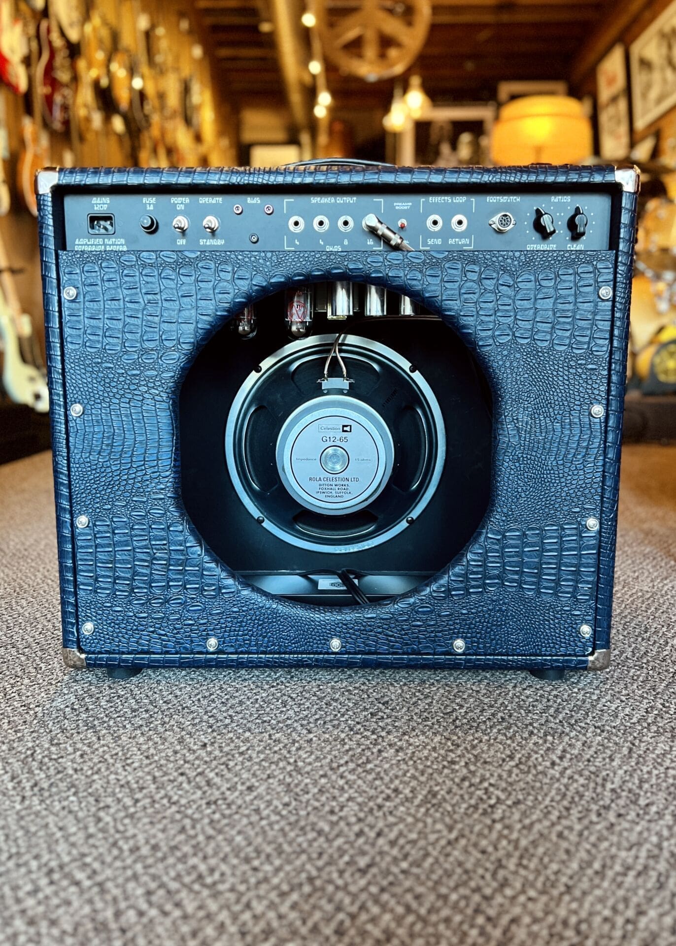 Amplified Nation Overdrive Reverb 50 Watt Combo - Blue Crocodile Tolex - Image 10