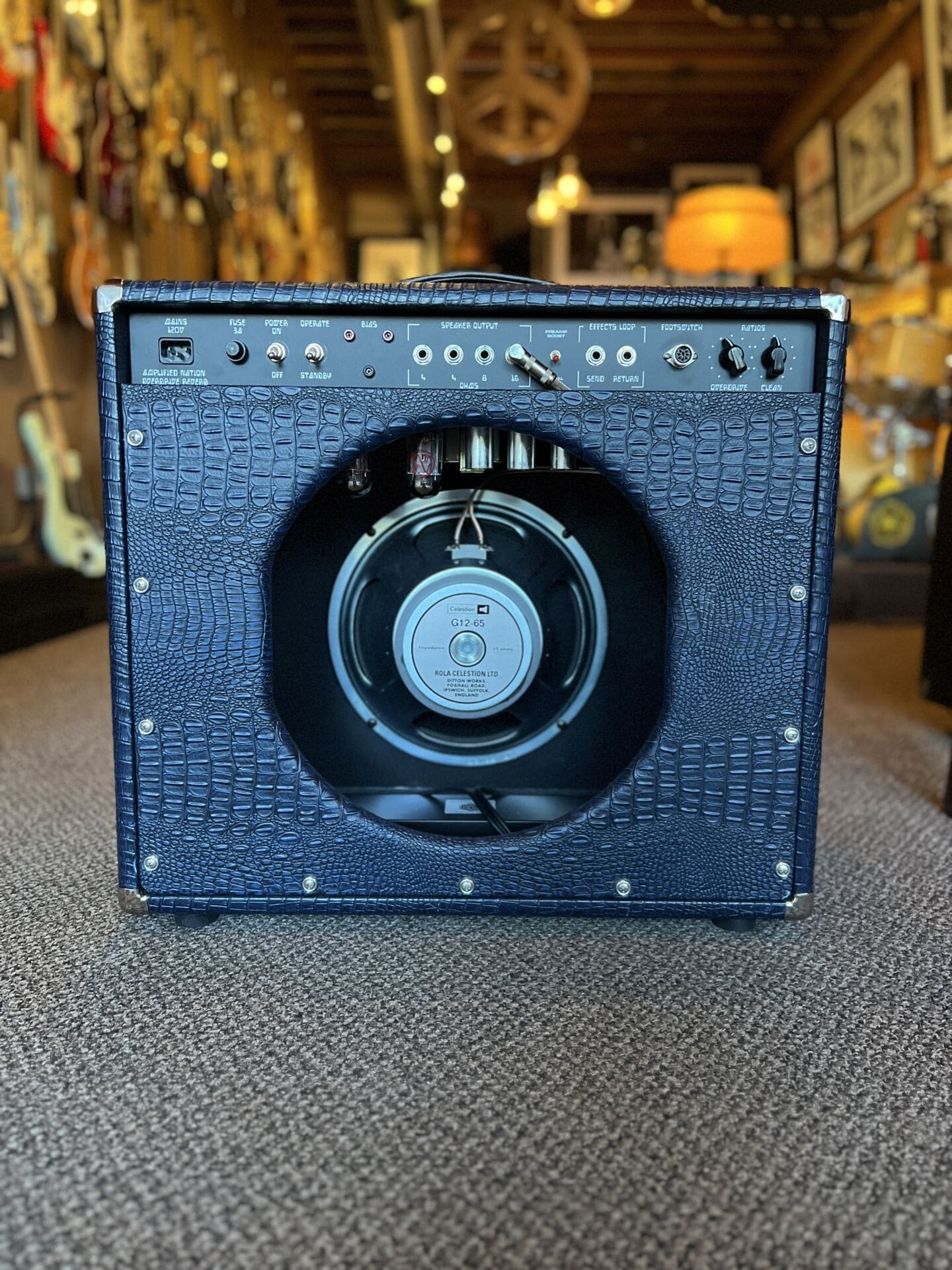 Amplified Nation Overdrive Reverb 50 Watt Combo - Blue Crocodile Tolex - Image 8