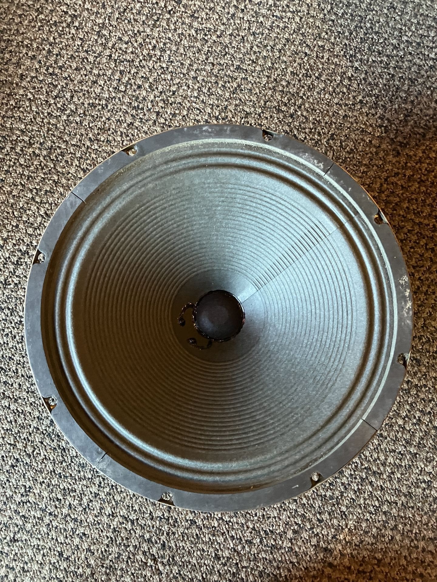 Fender Special Design 12T6-10 -- 8ohm 12" - Image 5