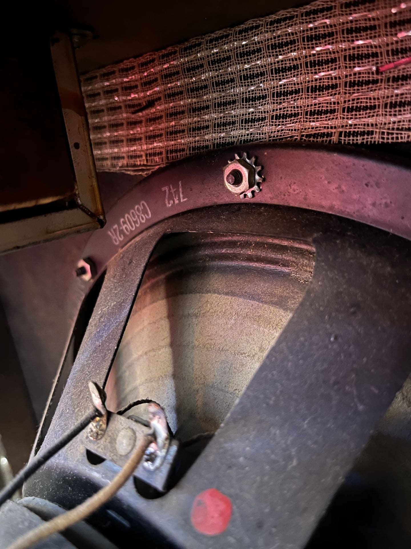 1964 Princeton Amp - All Original! - Image 17