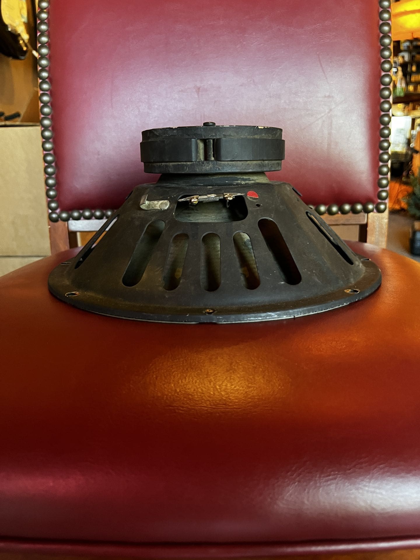 1960's Fender Blue Label Speaker - Recone - Image 6