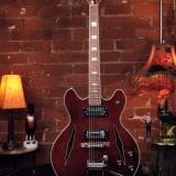Lyle “Trini Lopez” Semi-Hollow Guitar – With “Lyle” Bigsby style Vibrato!