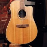 Seagull Artist Series Studio CW – With LR Braggs Element II