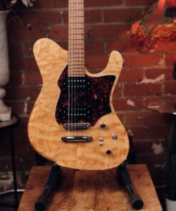 Alternative view of Dragon Fly Border B6 Custom - Great Bass VI!