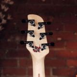 Dragonfly B6 KUSUNOKI – Amazing Bass VI, NAMM Demo Model!