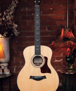 Taylor 316e Baritone-8 LTD 8 String Baritone Acoustic Guitar - Unique Baritone Acoustic!