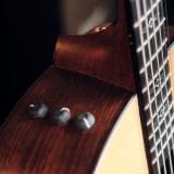 Taylor 316e Baritone-8 LTD 8 String Baritone Acoustic Guitar – Unique Baritone Acoustic!
