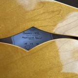 Josh Williams Guitars Mockingbird Special #472 – In A Natural Finish!