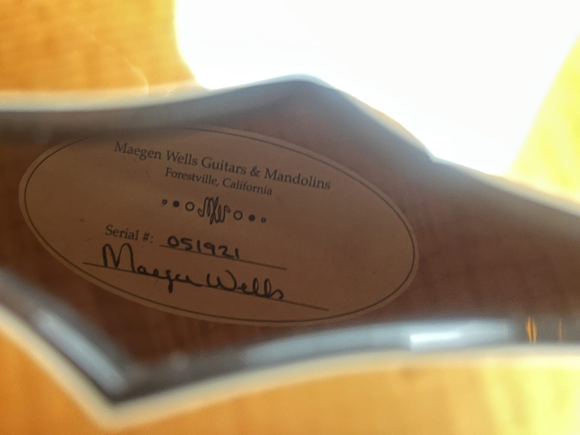 Maegan Wells 15" Archtop - Amazing Archtop! - Image 9