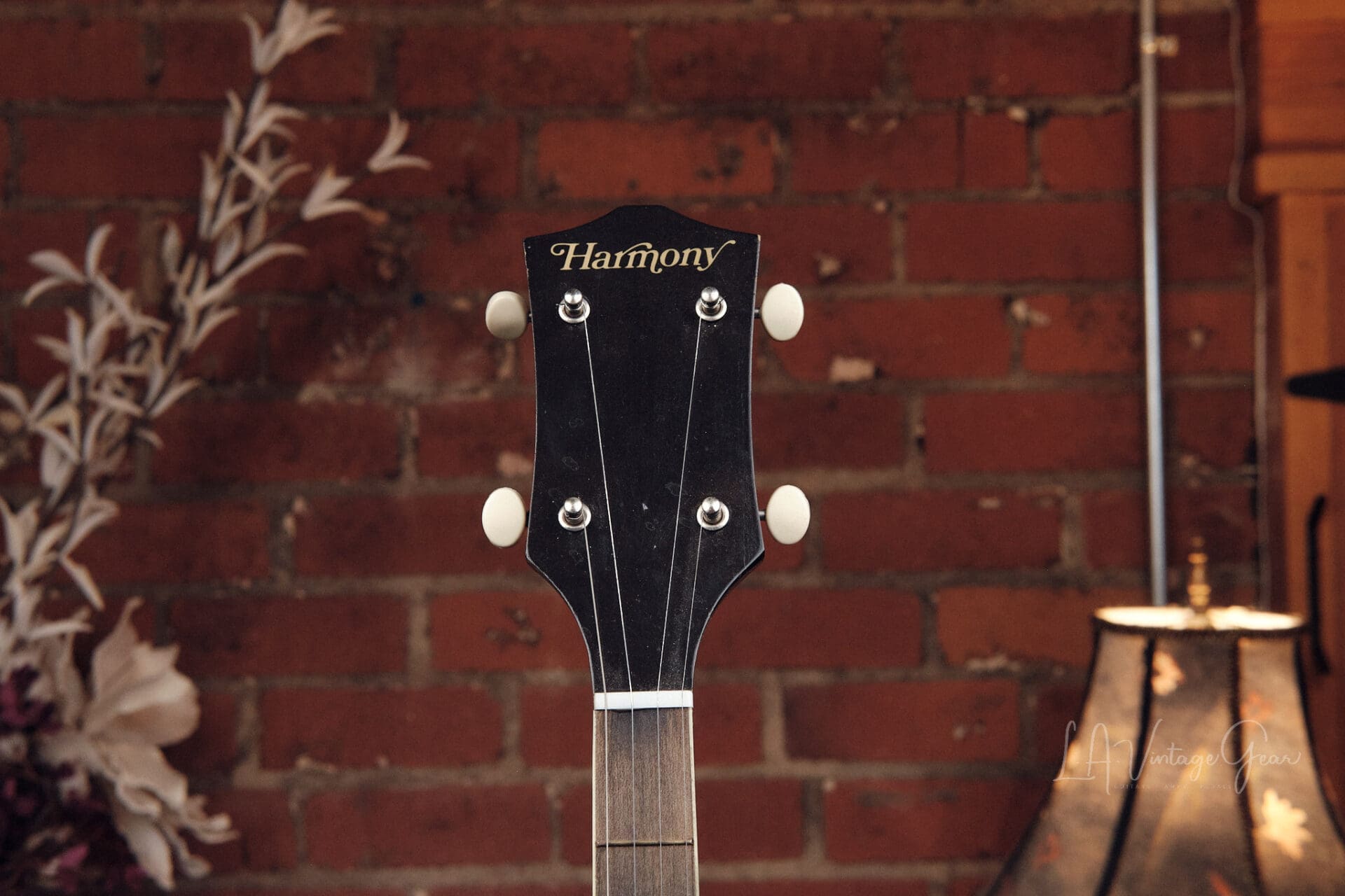 Harmony 5 String Banjo - Cool Vintage Banjo! - Image 5