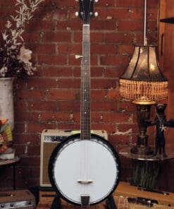 Harmony 5 String Banjo - Cool Vintage Banjo!
