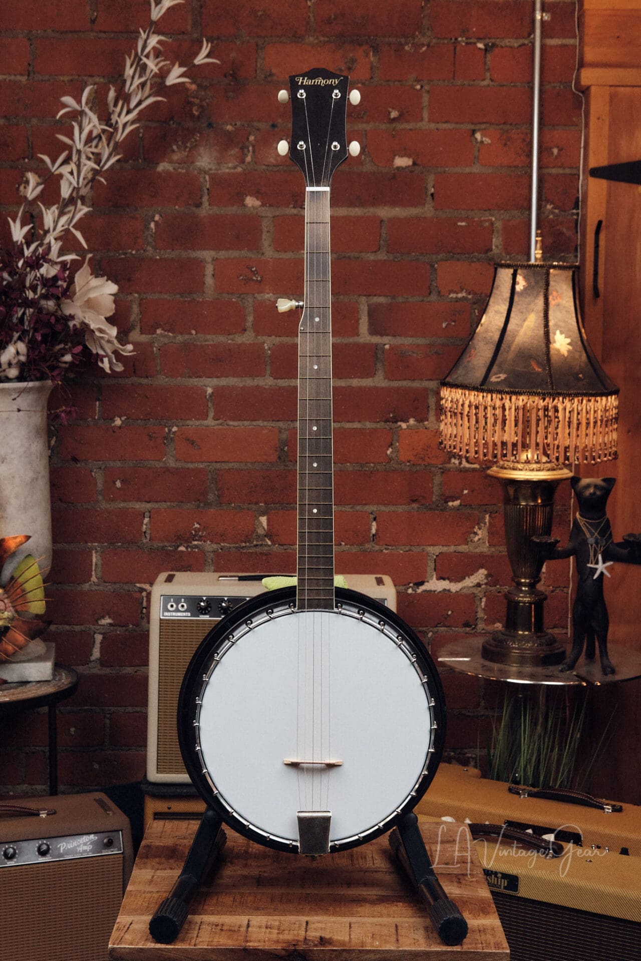 Harmony 5 String Banjo - Cool Vintage Banjo!