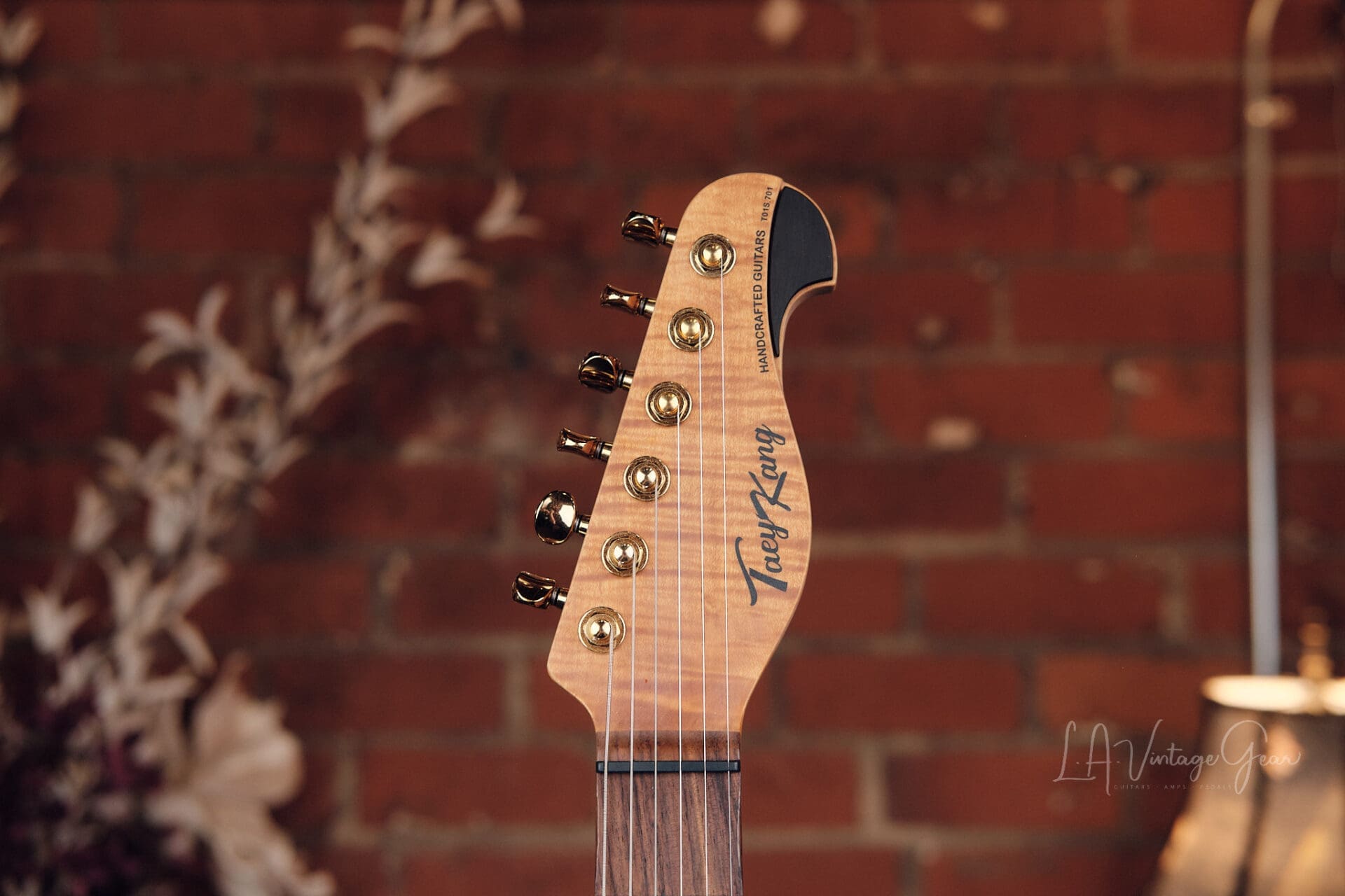 Taey Kang Modern T - Fastback Green With Lollar Imperial Pickups! - Image 6