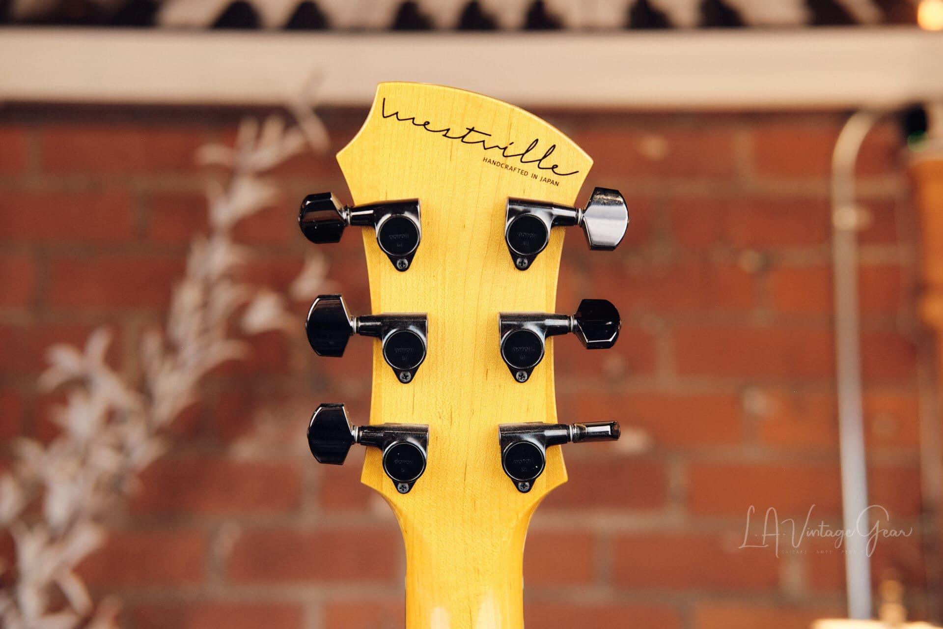 Westville Vanguard KR - Kurt Rosenwinkel Signature - Image 11